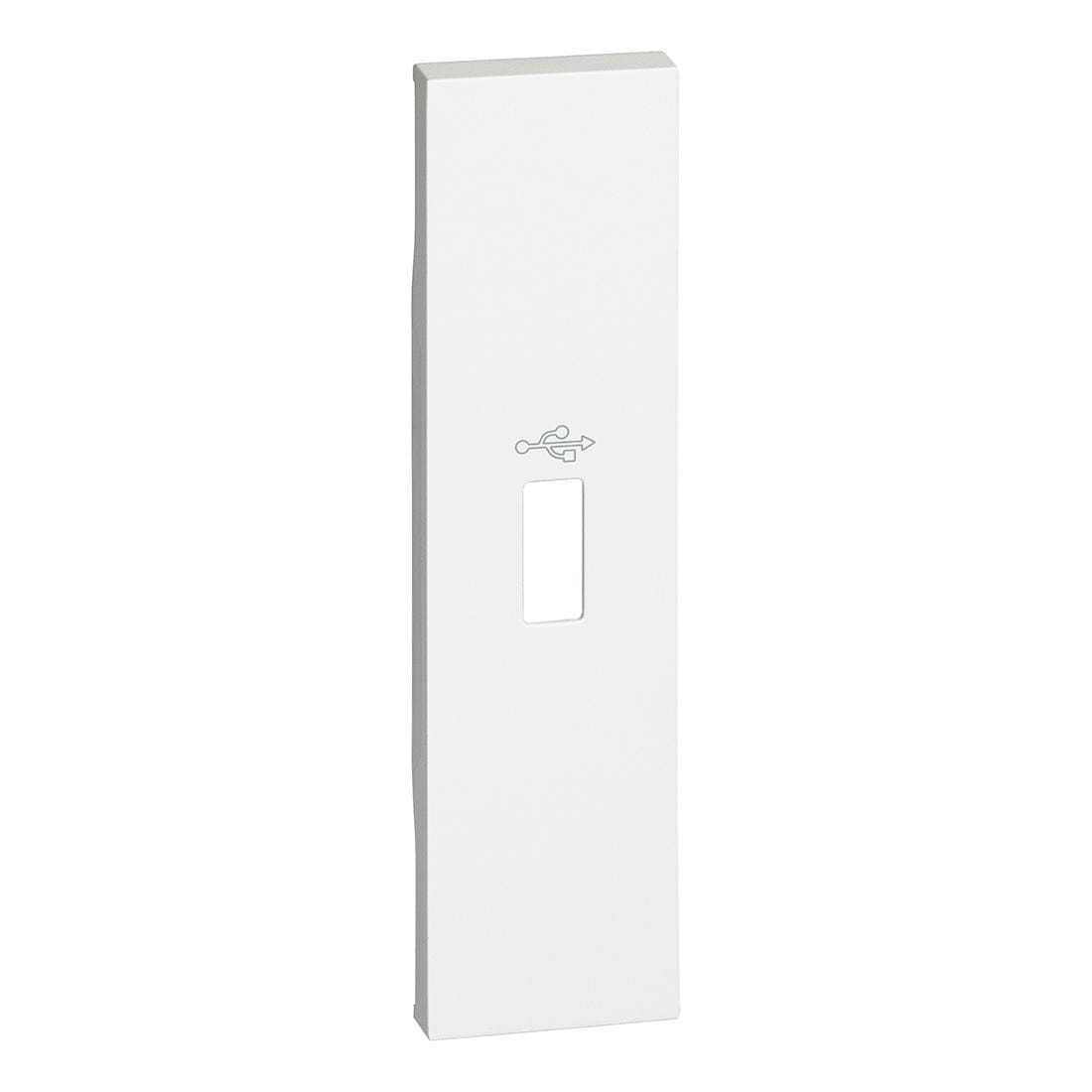 BTICINO - Frontal base datos USB Living Now - Blanco - 1 módulo