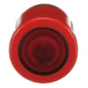 Uña del pulgar Imagen del producto 1