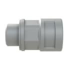 THOMAS & BETTS  - Racor PMAFIX recto M16 DN12 IP68 gris