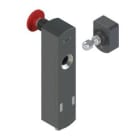 LEUZE - L250-P41SL-M12B8-PB-UCA