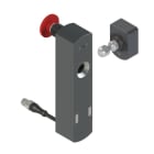 LEUZE - L250-P41SL-CB02M12S8-PB-UCA