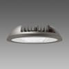 Uña del pulgar Imagen del producto 1