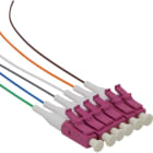 EXCEL - PIGTAIL LC OM4 50/125 0,5M  (PACK 12 COLORES T.598)