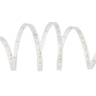 TSL - Tira flexible BONE 1 rollo 5 metros SMD2835 120 LED/m 12W/m 24VDC 6.000K IP65/H 1.200lm/m CRI>80 12mm