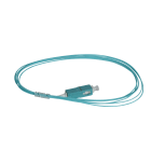 LEGRAND - Pigtail 50/125 -m - OM4 (PC) Conectores SC L. 2m LSZH
