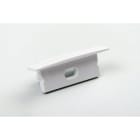 BLUELED - Tapa final con agujero 4623 30x10mm